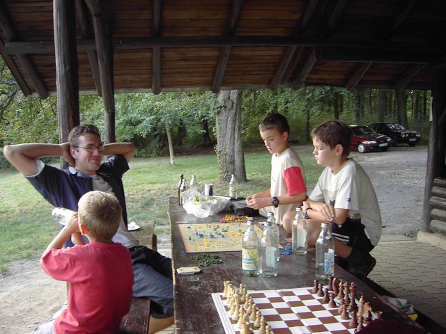 „Brettspiele wie Risiko und Schach helfen beim Erholen“
